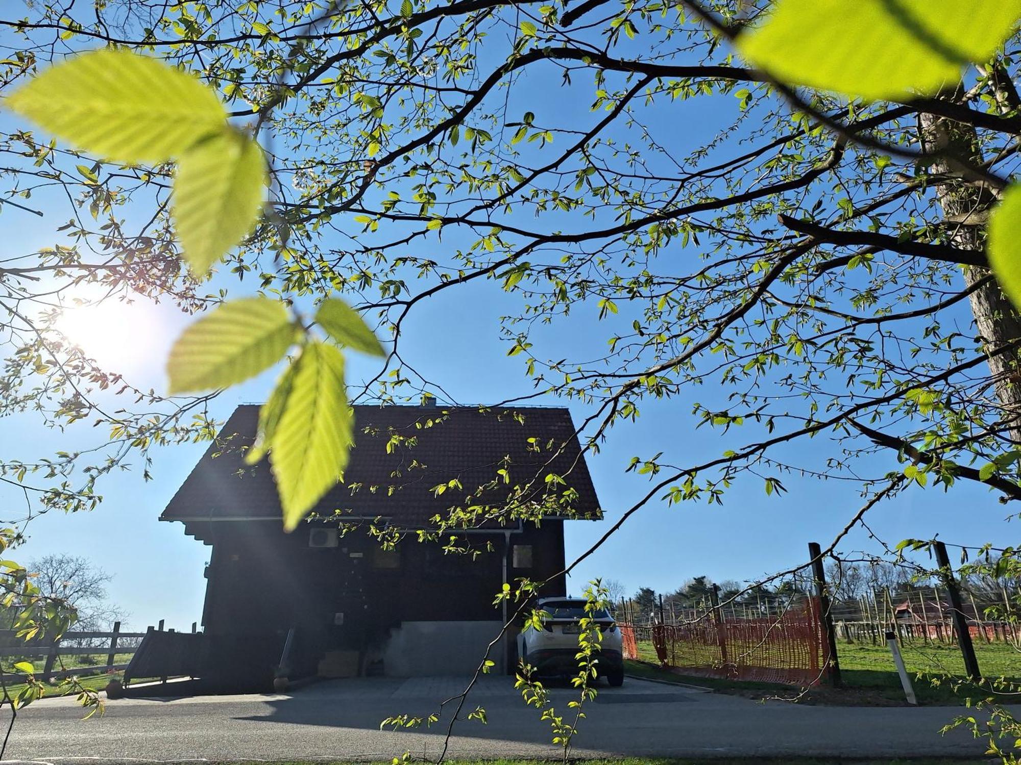 Fokovci Logarska Kocaヴィラ エクステリア 写真